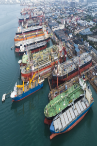 ӮFPSOͬ