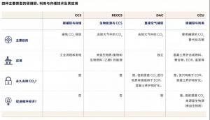 DNV չ | ̼洢CCS2.0׶