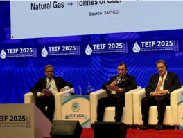 TEIF 2025ĻԴЩͶʷ