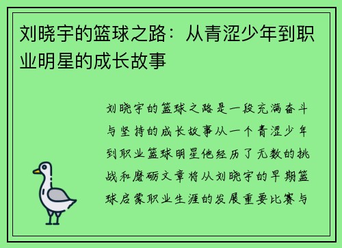 刘晓宇的篮球之路：从青涩少年到职业明星的成长故事