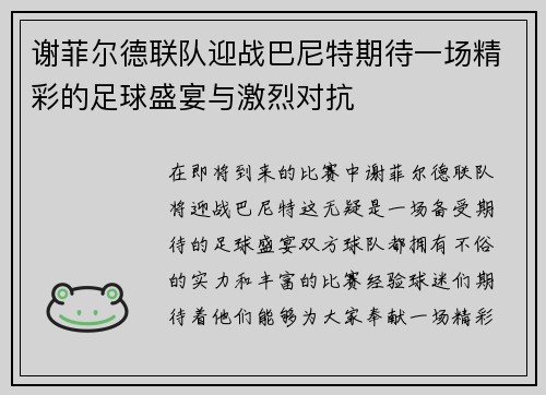 谢菲尔德联队迎战巴尼特期待一场精彩的足球盛宴与激烈对抗