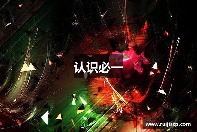 认识必一